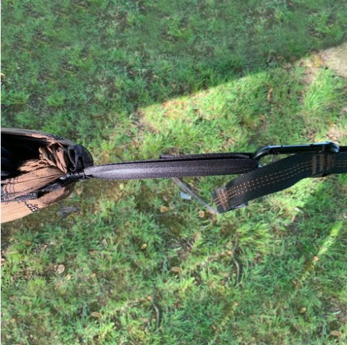 Pathfinder Basic Jungle Hammock